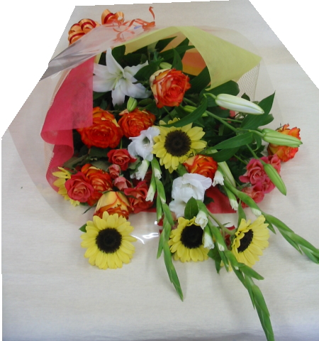 ����ԁ@���ԉԑ�/�Ђ܂��T�}�[�u�[�P